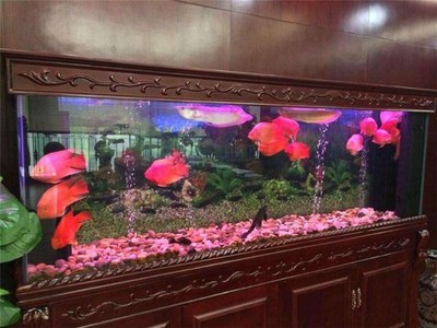 湖北螃蟹魚(yú)缸定做